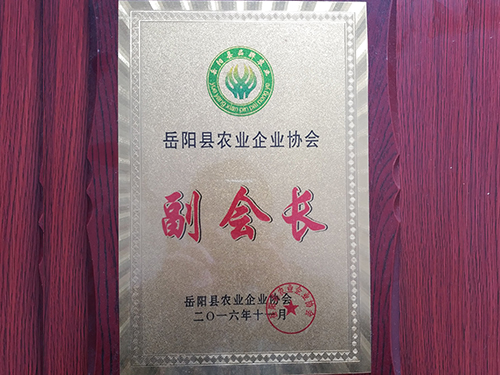 荣誉资质